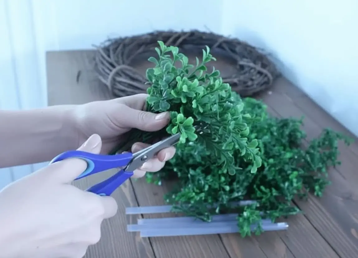 Hands using blue scissors to cut faux boxwood garland into smaller sprigs. A grapevine wreath form and hot glue sticks are visible on a rustic wooden table, prepping for a DIY boxwood wreath.