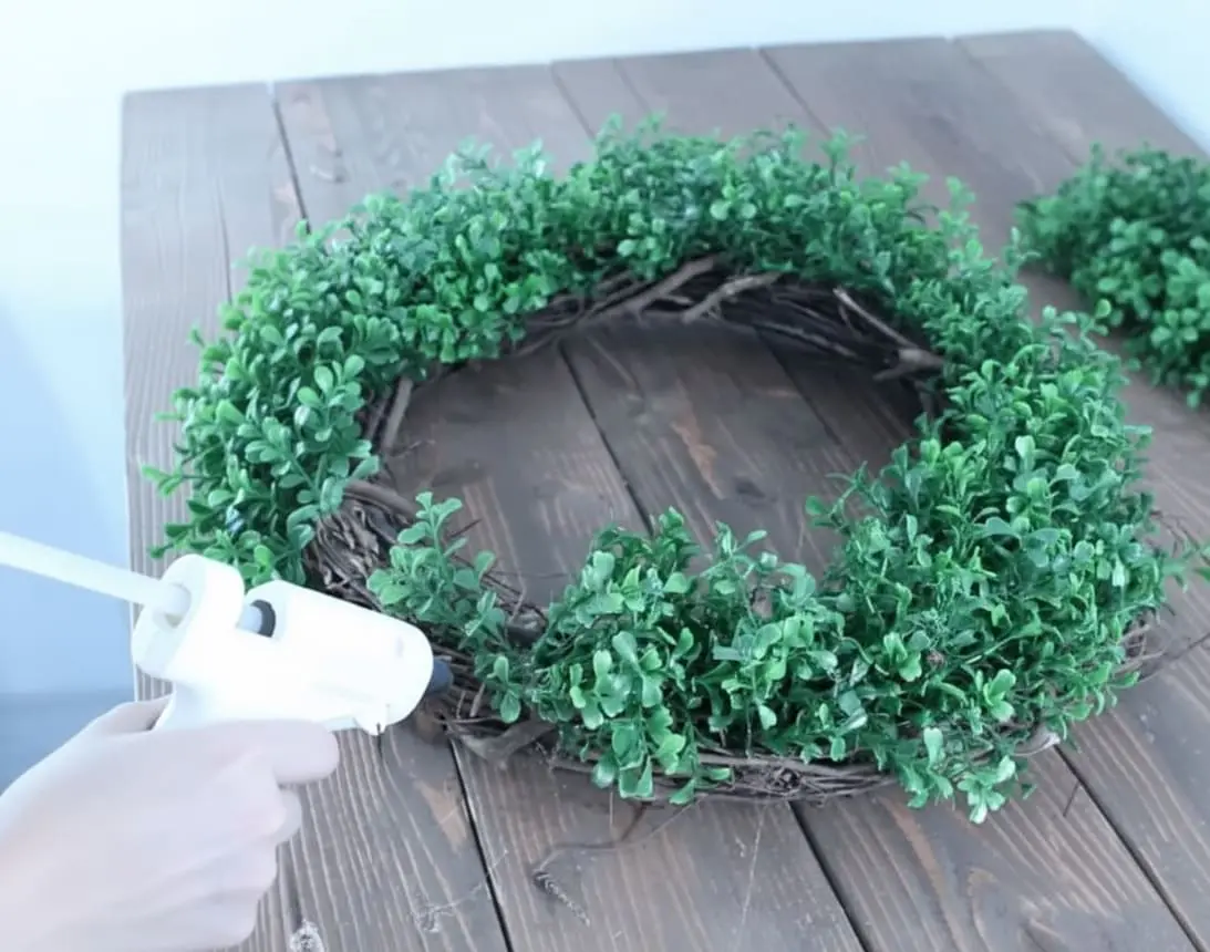 A hand using a hot glue gun to attach faux boxwood sprigs onto a grapevine wreath form, creating the base layer of a DIY boxwood wreath.