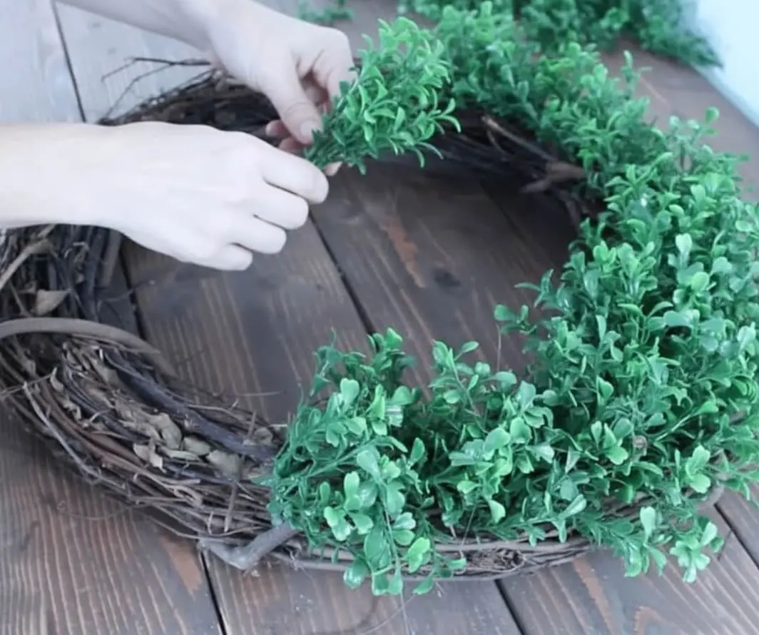 Hands arranging faux boxwood sprigs into a grapevine wreath, layering them to add fullness and cover gaps in the DIY boxwood wreath.