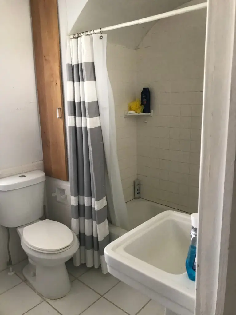 Bathroom shower and toilet with grey and white shoer curtain