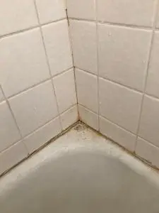 Mildew in a shower