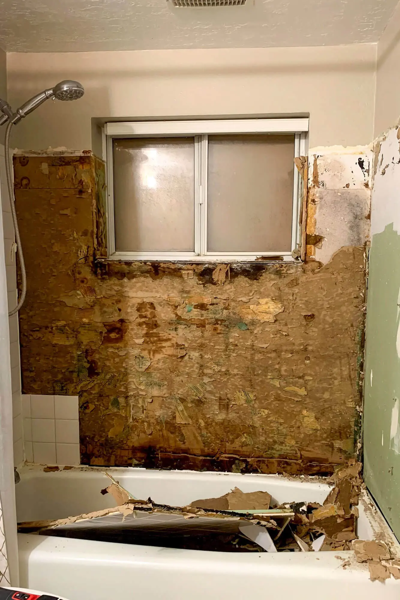 Shower open to studs, mold visible

Exposed shower wall opened to studs showing damaged drywall and signs of moisture and mold before cleanup.