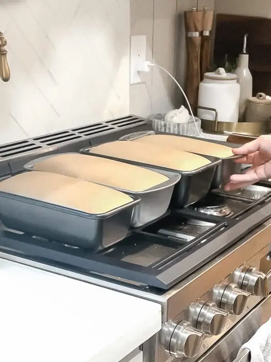 honey whole wheat bread rising