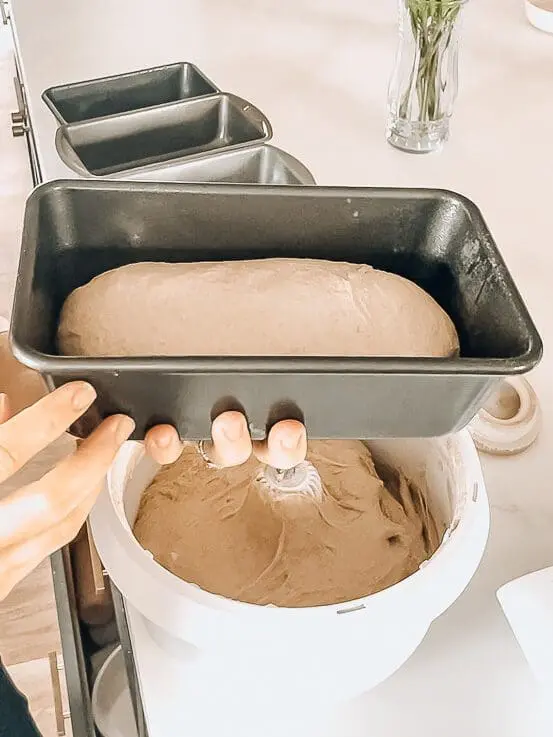 bread dough in a pan