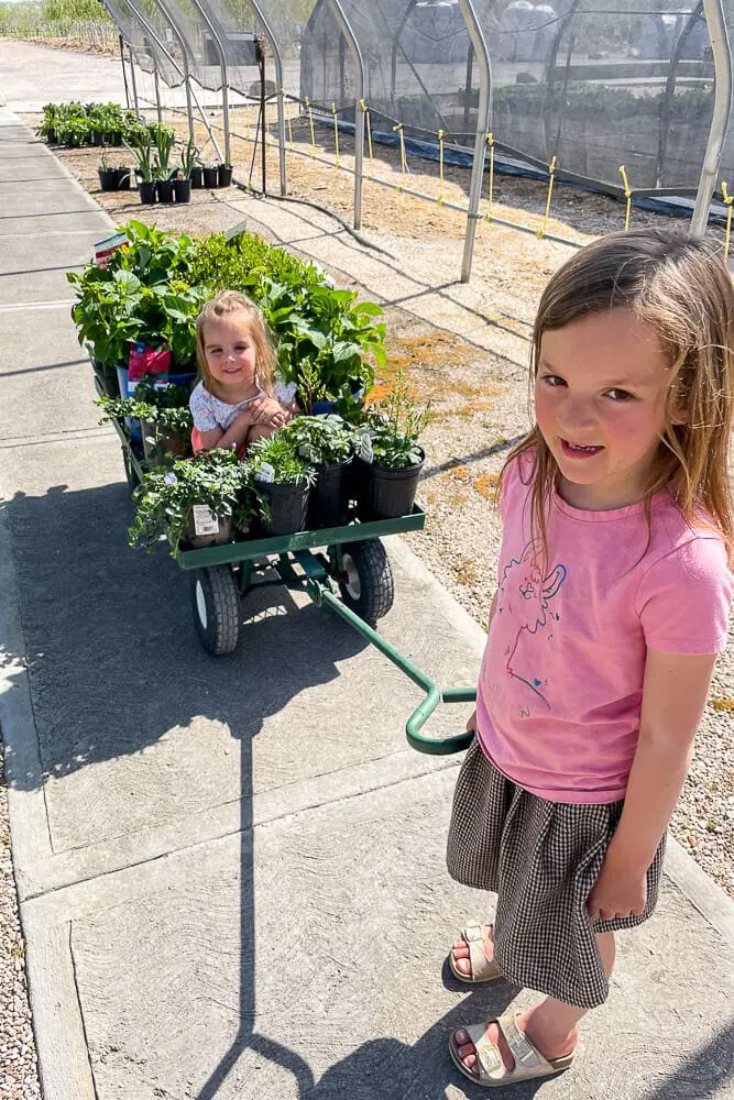 Two young girls standing near potted plants at a garden center, holding leafy green starts to plant in their raised garden beds.

