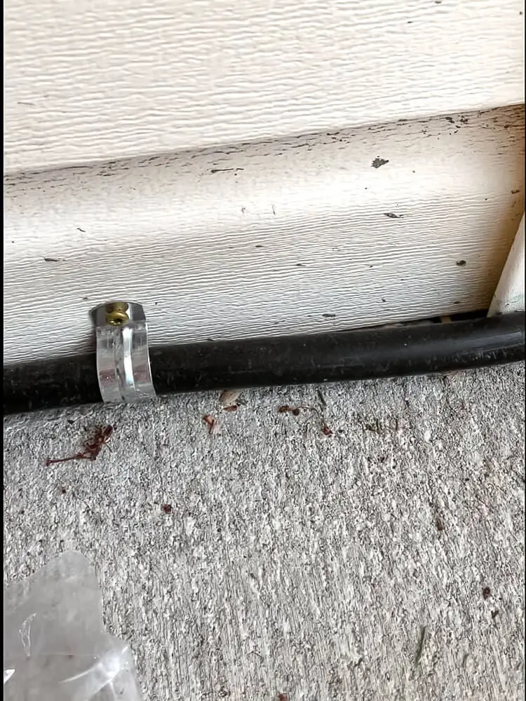 Poly tubing secured to the house using pipe straps as part of a garden irrigation system