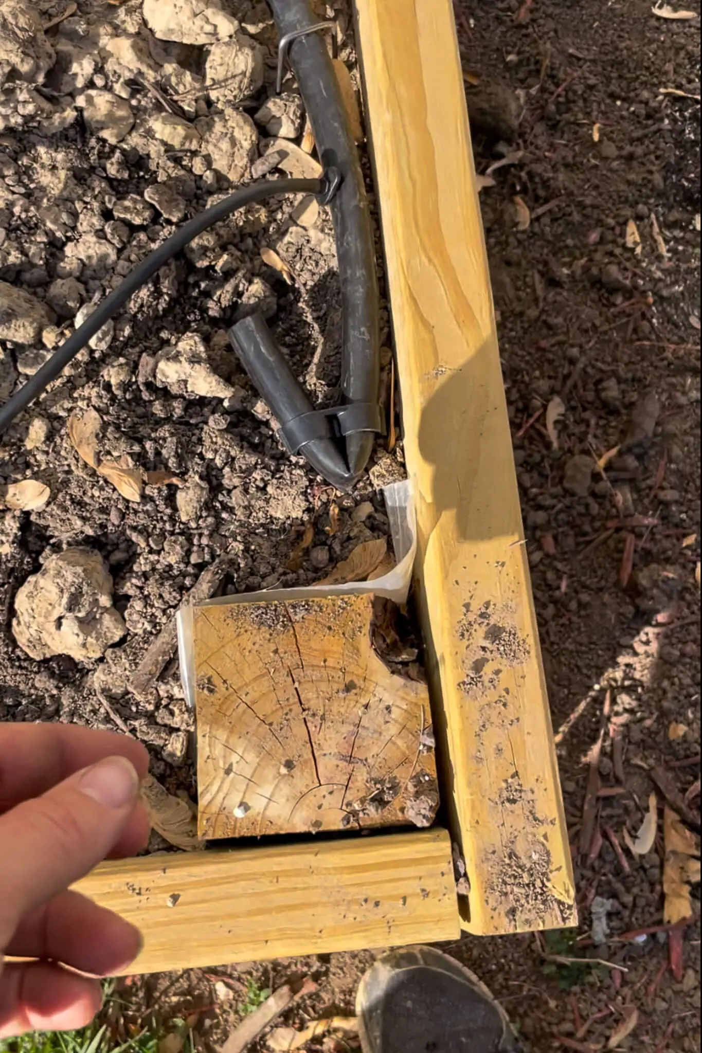 Close-up of a DIY drip irrigation setup at the corner of a wooden raised garden bed.