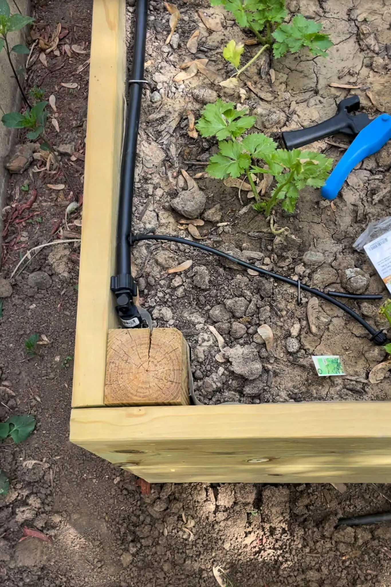 Close-up of hands connecting a black drip irrigation line to a barbed connector at the edge of a wooden raised garden bed.