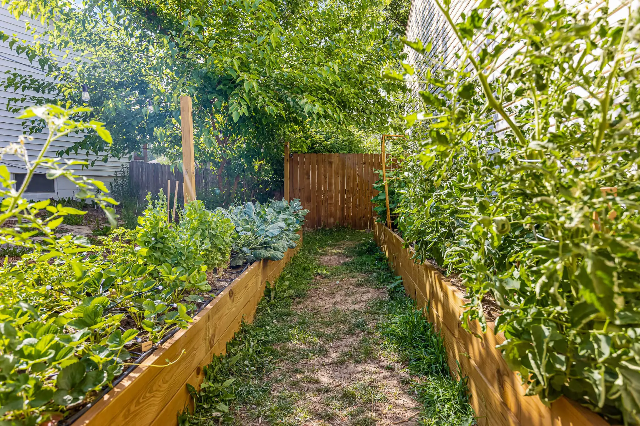 Build Your Own Tall Raised Beds