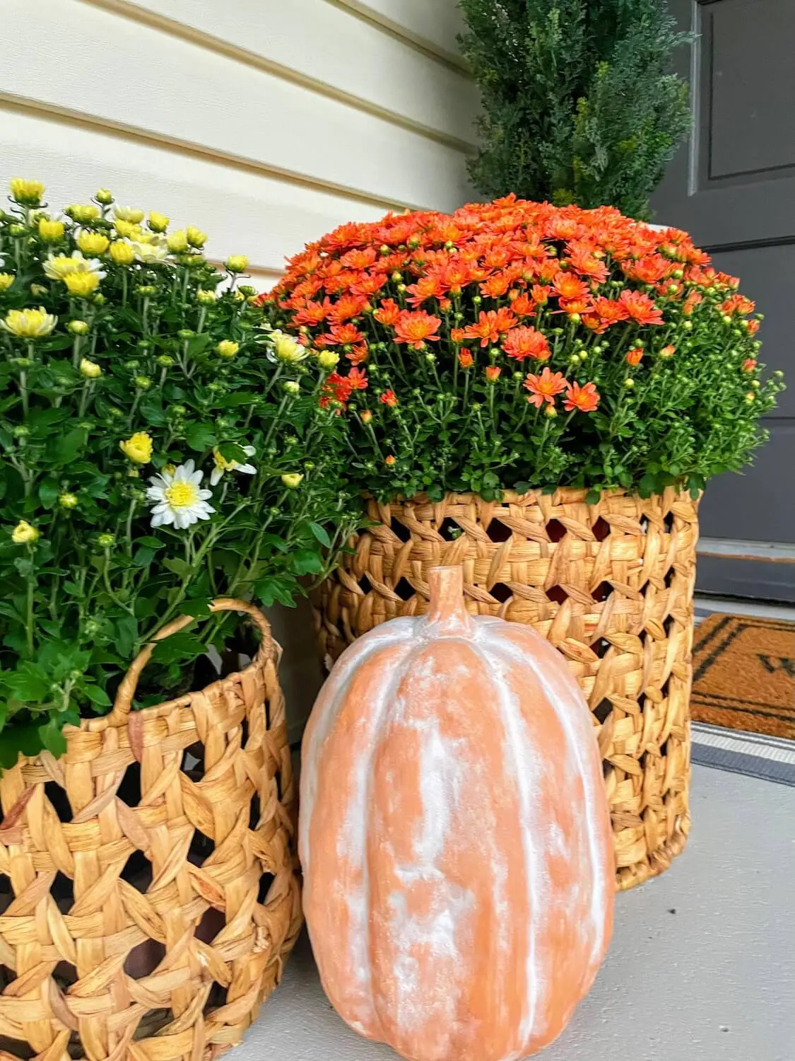 Close-up of faux clay-look pumpkin styled with fall mums in a woven basket.