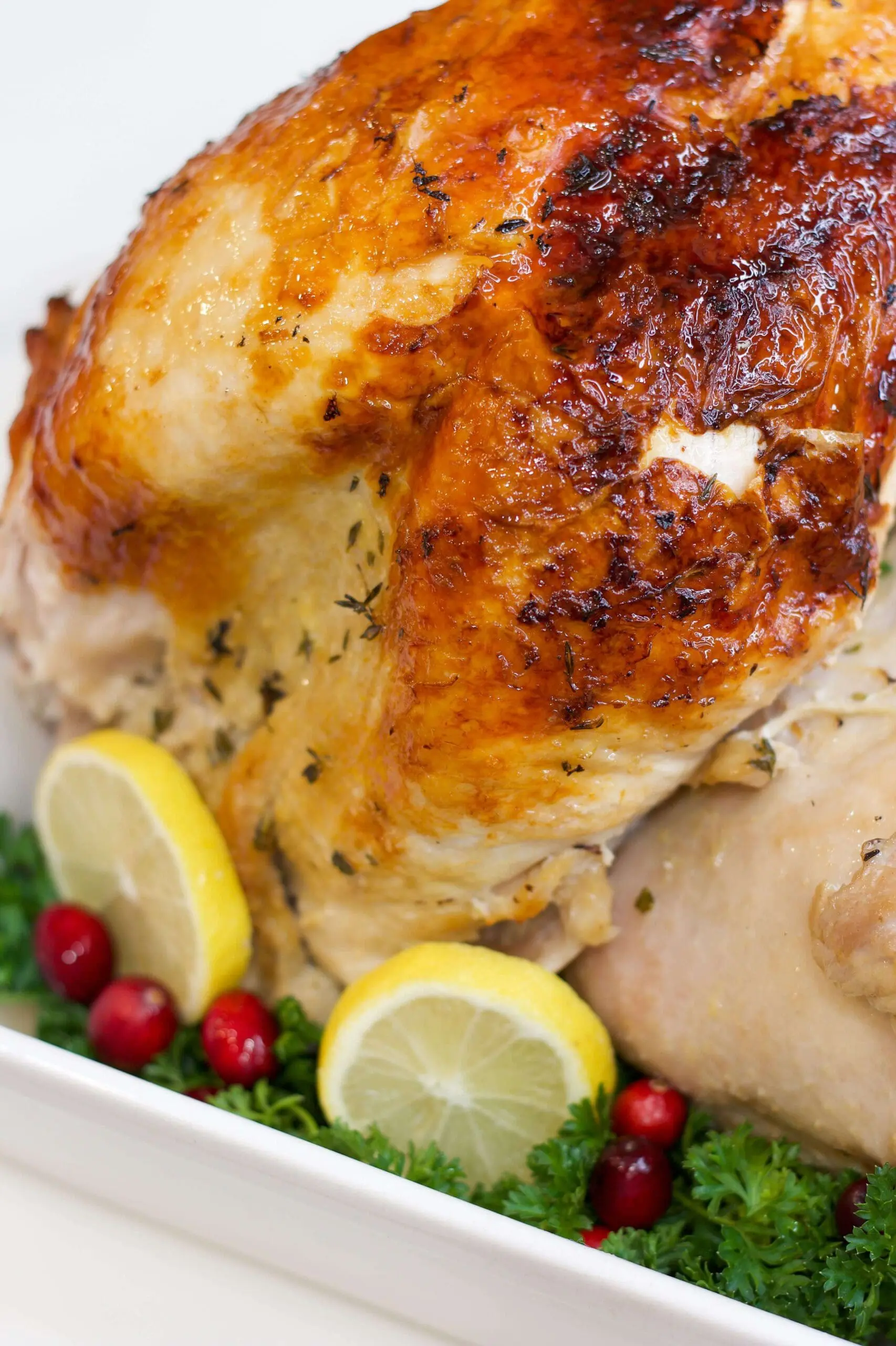 Whole roasted turkey with a perfectly crispy, golden skin, garnished with lemon slices and cranberries, highlighting super moist and tender turkey.