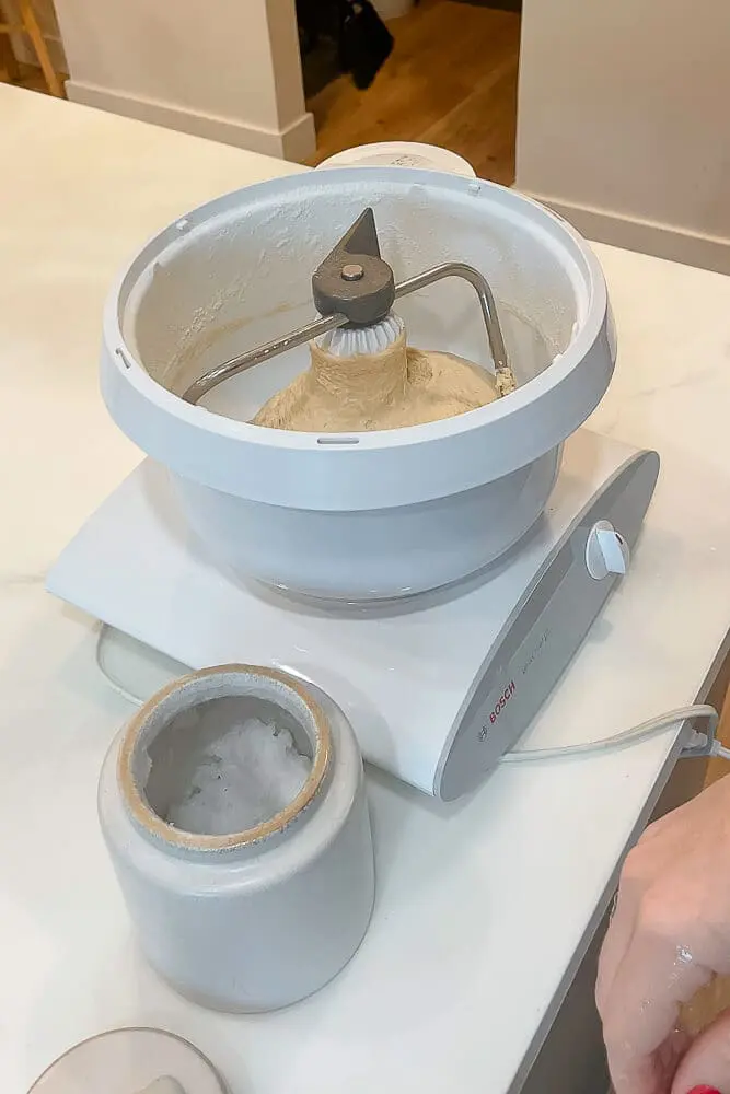 Elastic dough in the stand mixer after mixing, ready for the next step in the dinner roll recipe.