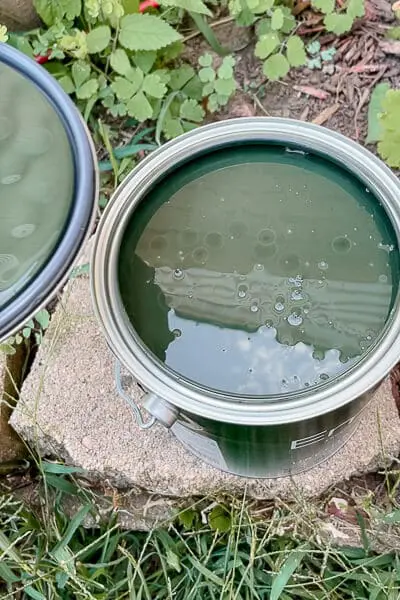 Open paint can showing custom green paint color used for horizontal Murphy bed cabinetry