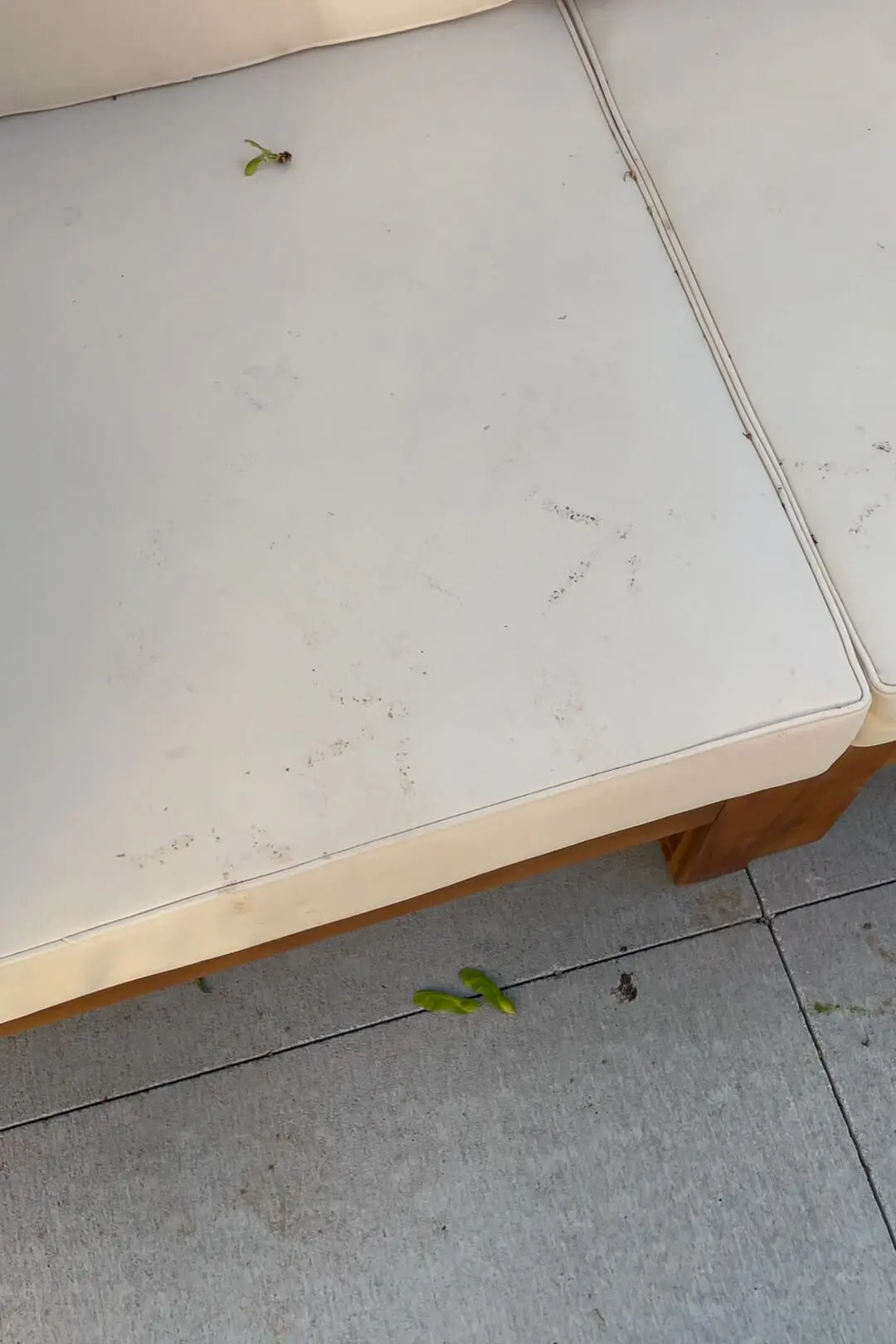 Dirty cushions on outdoor sectional.