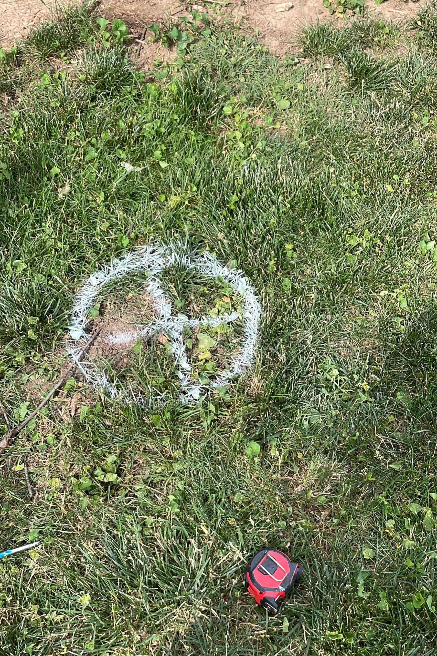 Where to dig a hole in your backyard for a hammock stand.