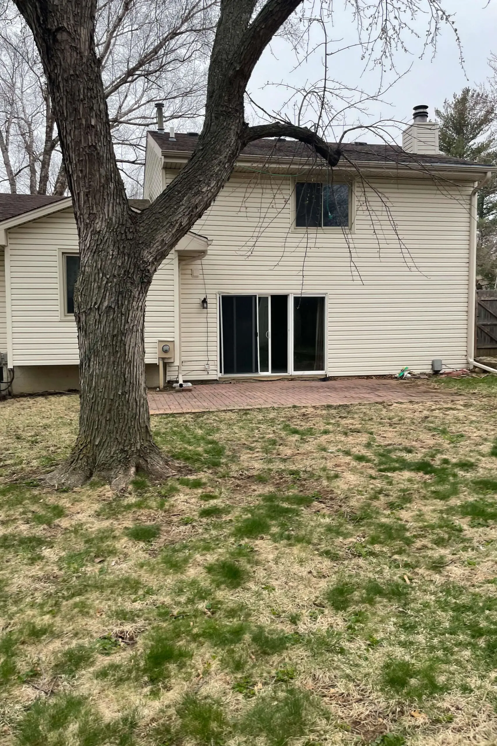 Backyard patio before pics.