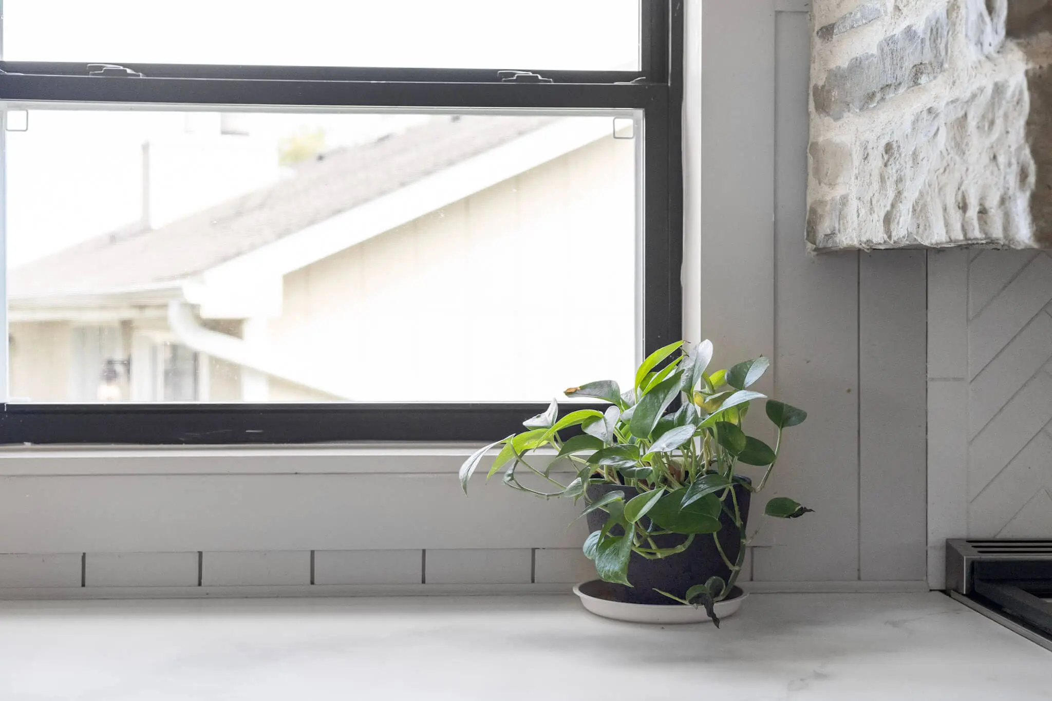 Windows painted black in a gorgeous, fully renovated kitchen.