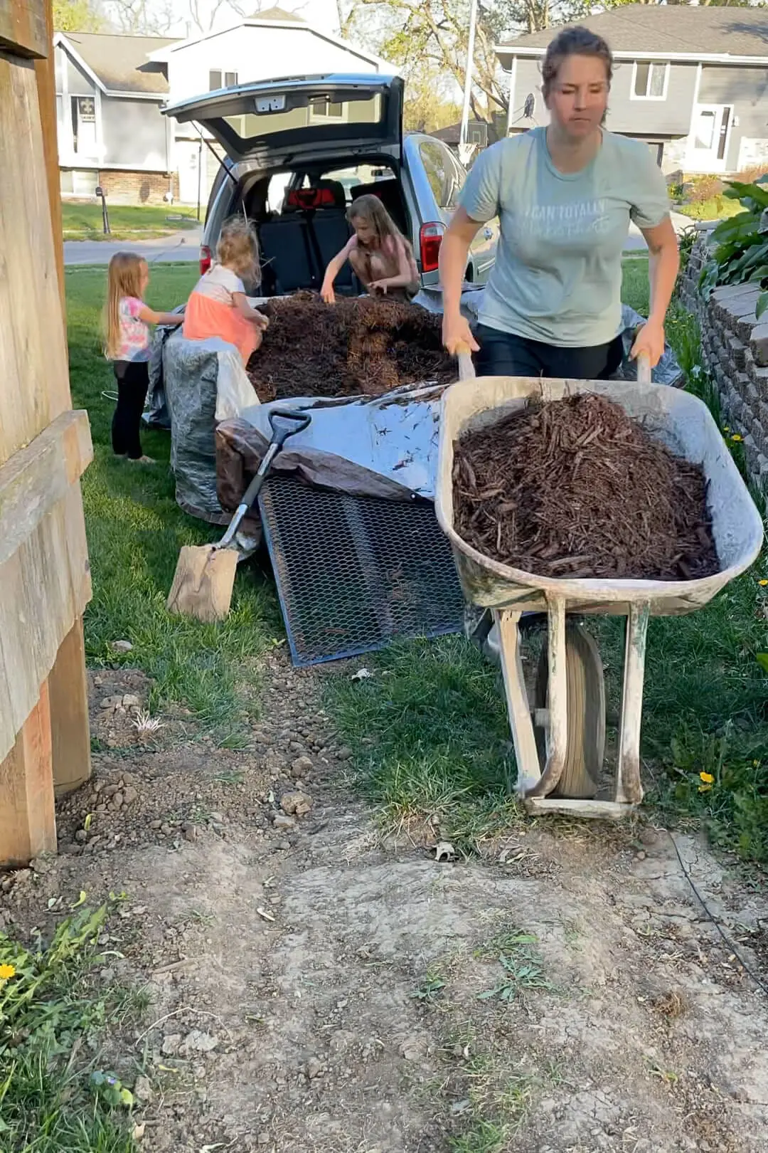 Unloading mulch with a wheelbarrow. 