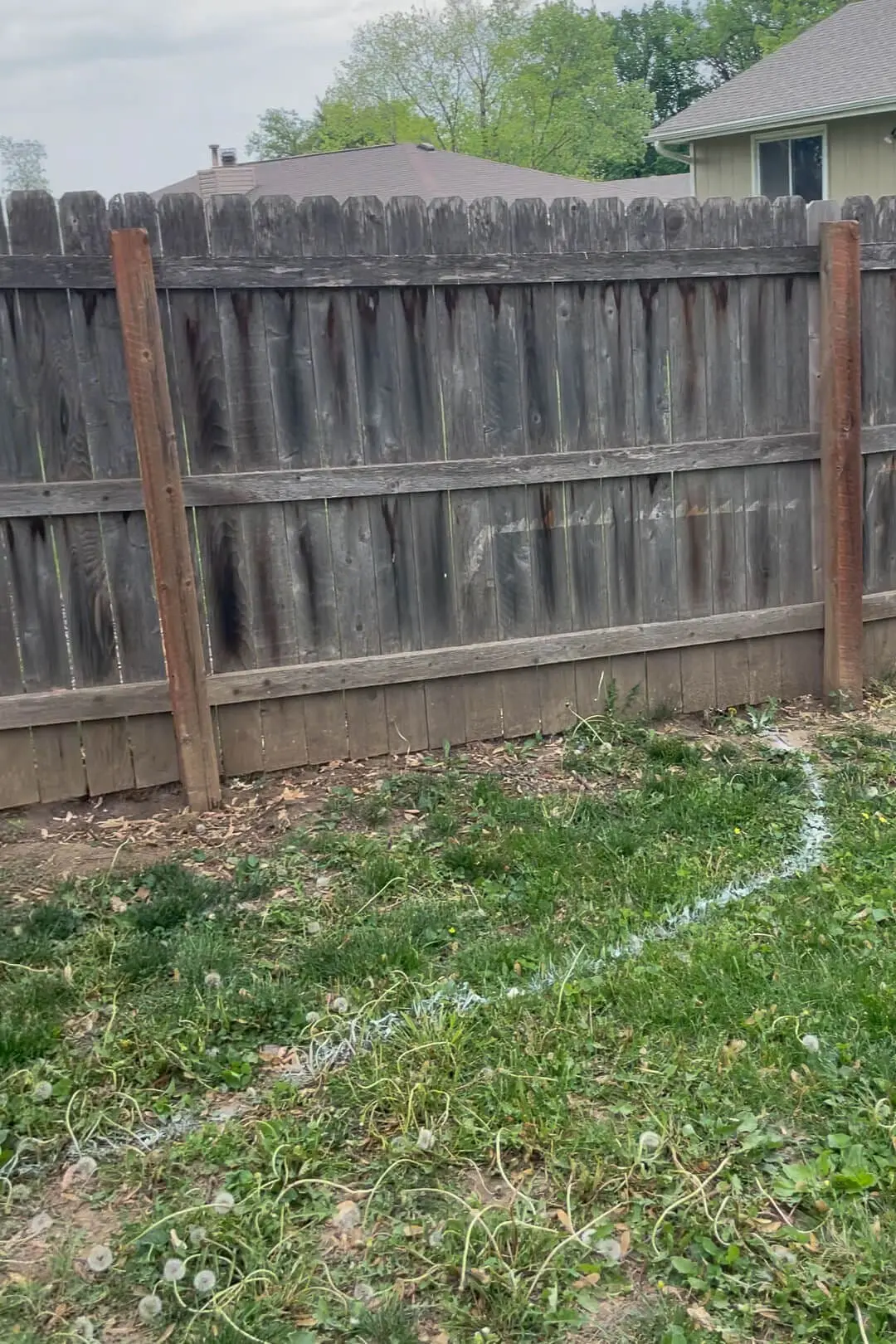 Marking the edges of a flower bed with marking paint.
