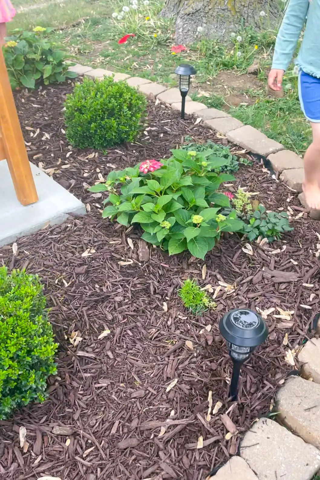 Finished flower bed with solar lights.