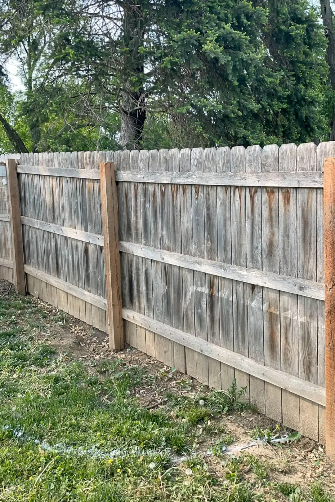 Before of old, wood fence.