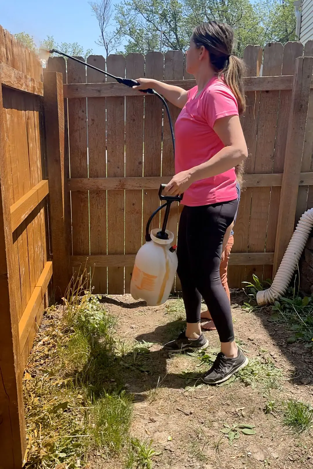 Using a sprayer to apply stain to a wood fence.