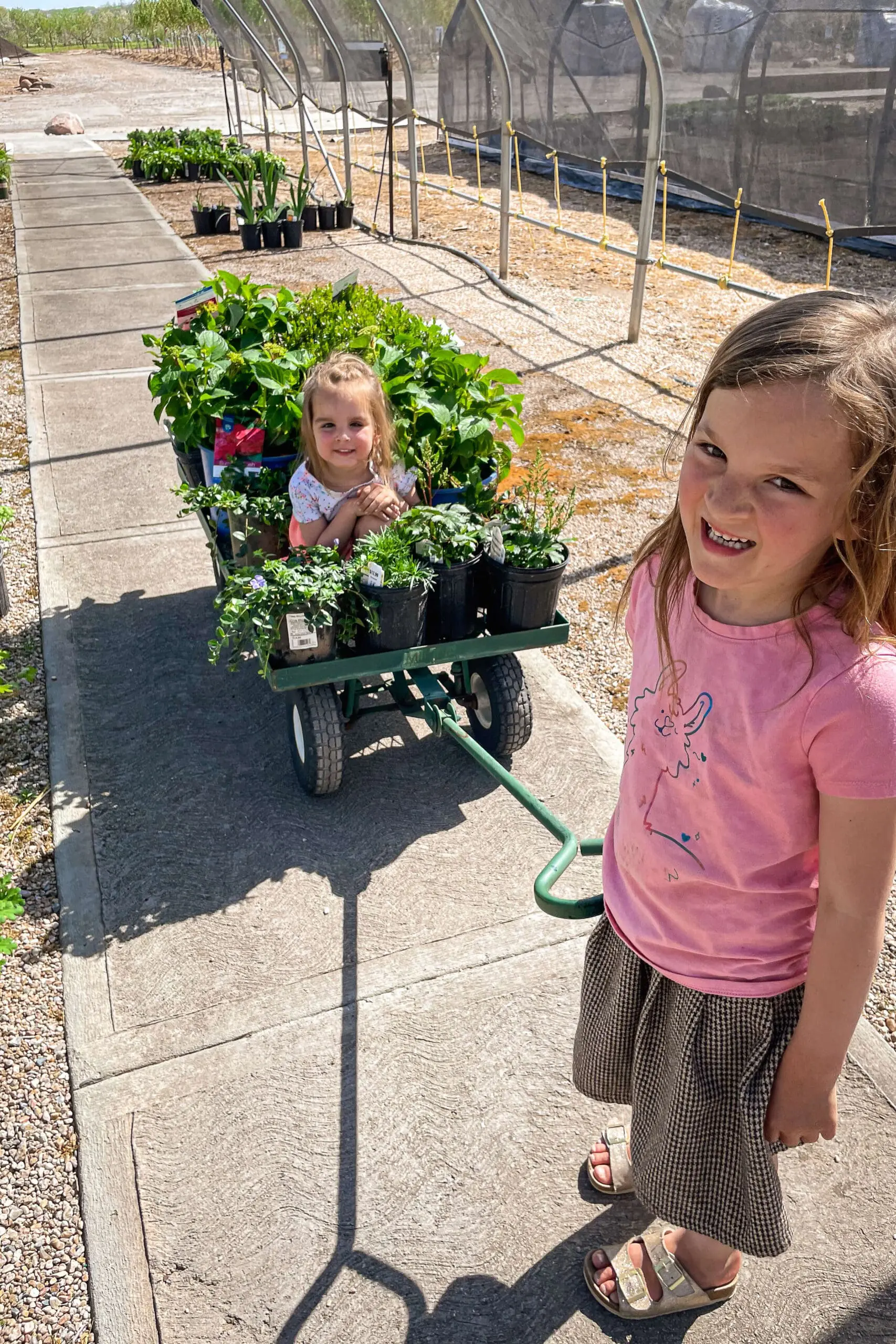 Buying plants at the nursery for making a flower bed.