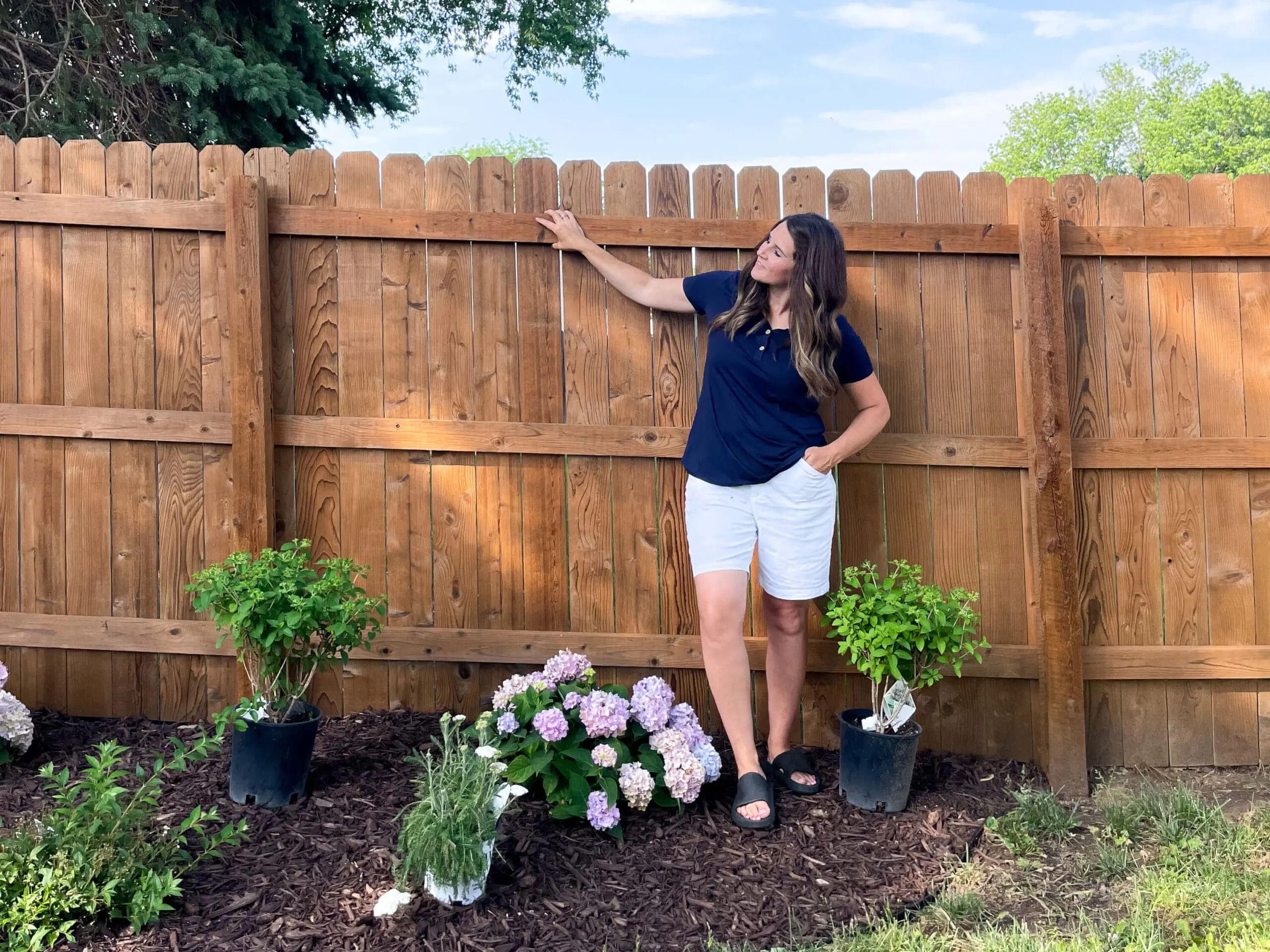 Finished fence after being pressure washed and stained.
