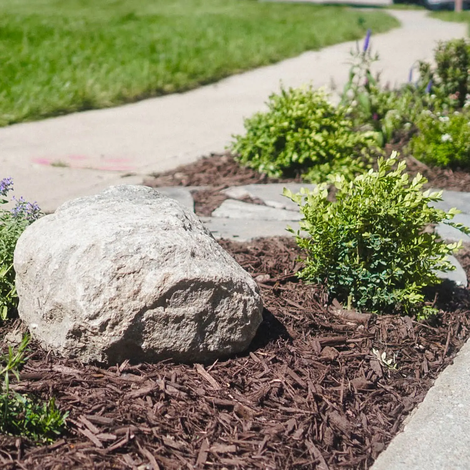 Finished front yard landscaping on a parking strip.