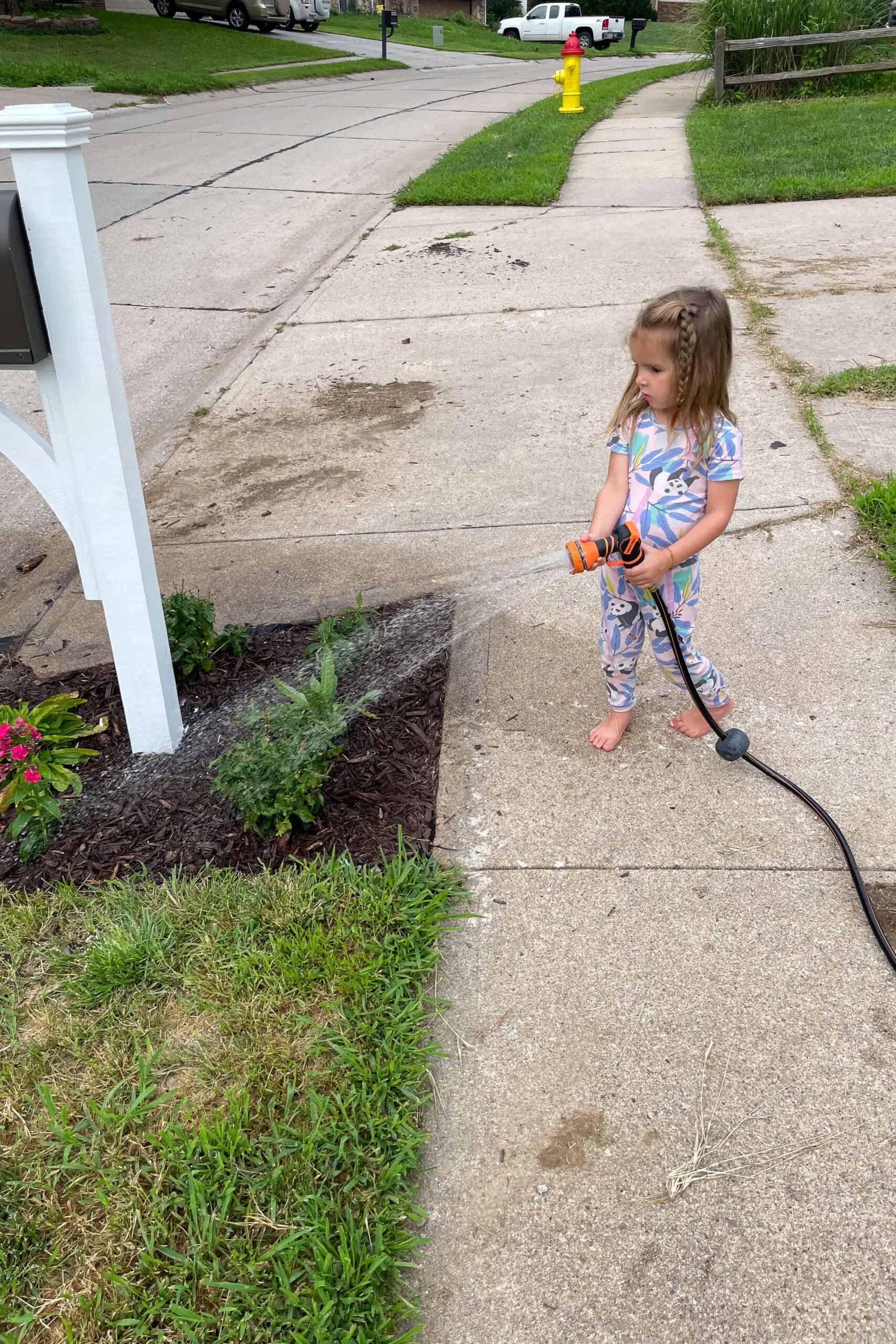 Using my wall mounted giraffe hose reel around my yard. 