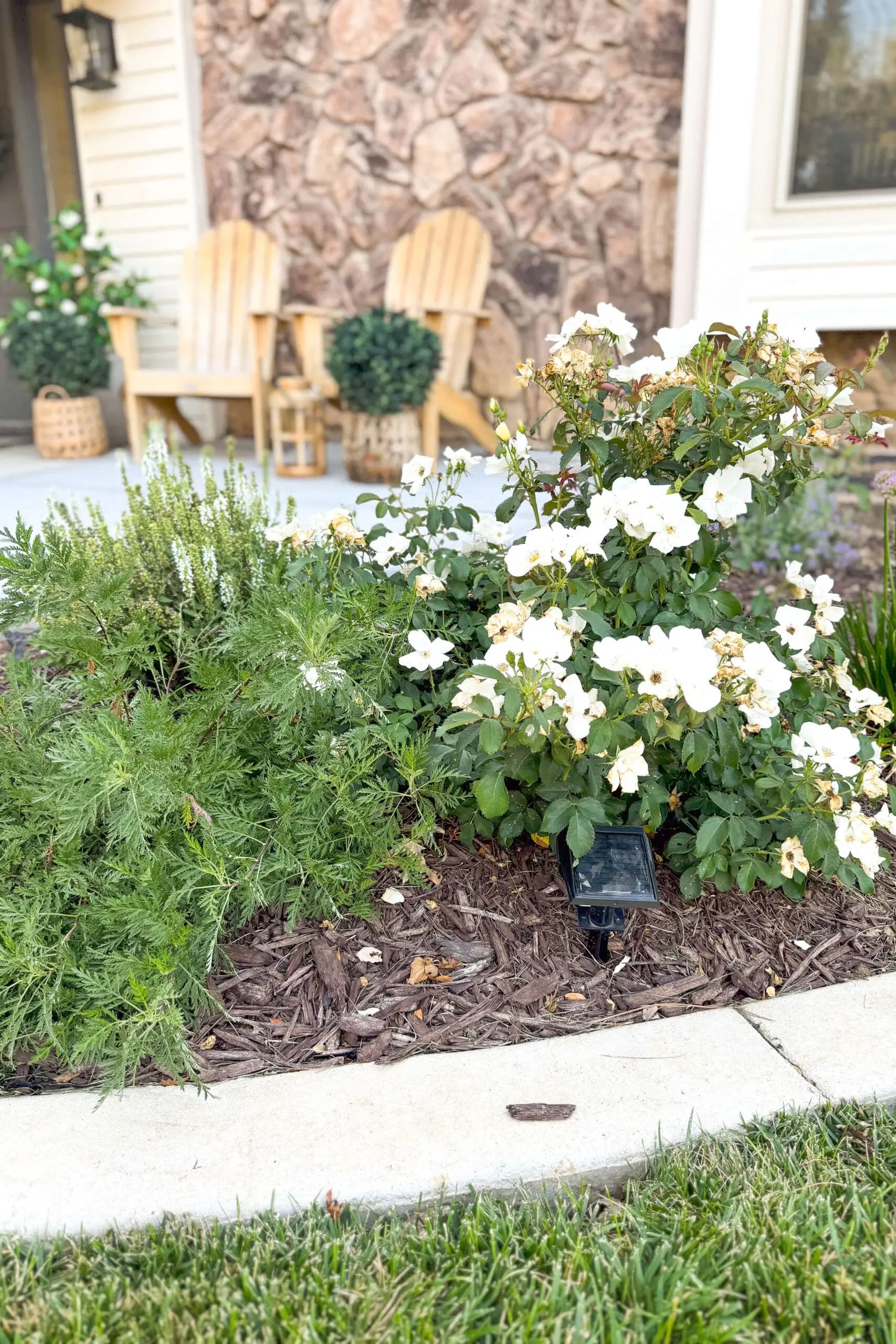 Choosing native, low-maintenance plants when putting together yard designs.