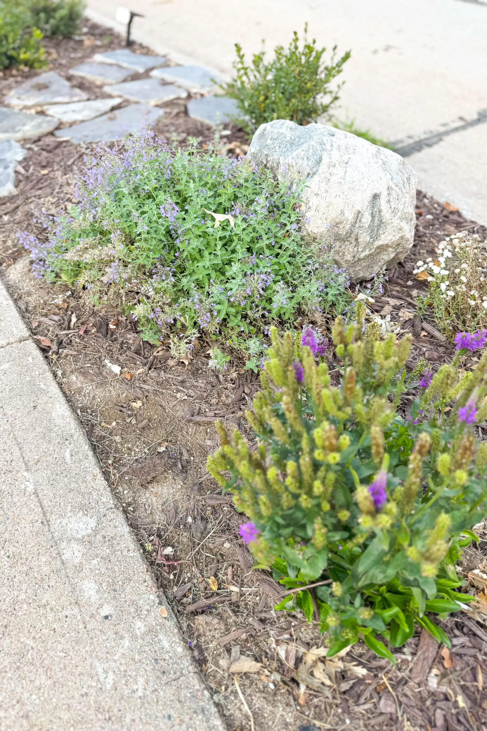 Easy DIY landscaping and yard designs.