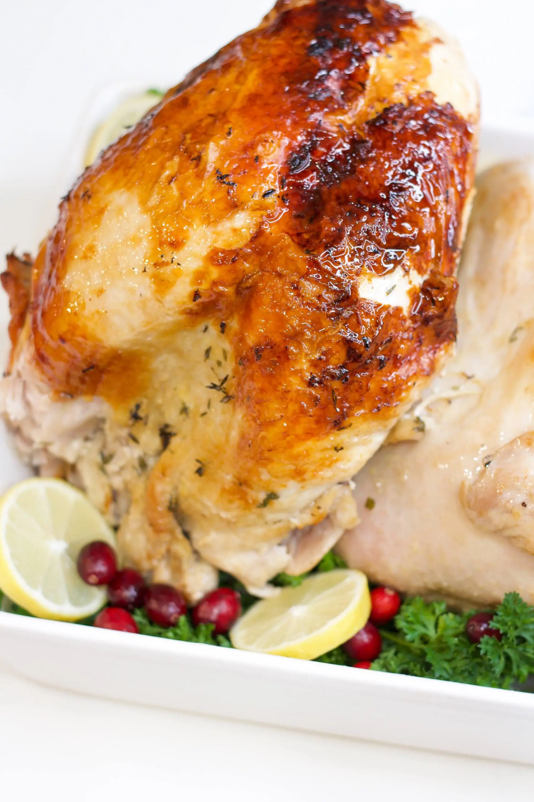 Turkey for Hosting Friendsgiving