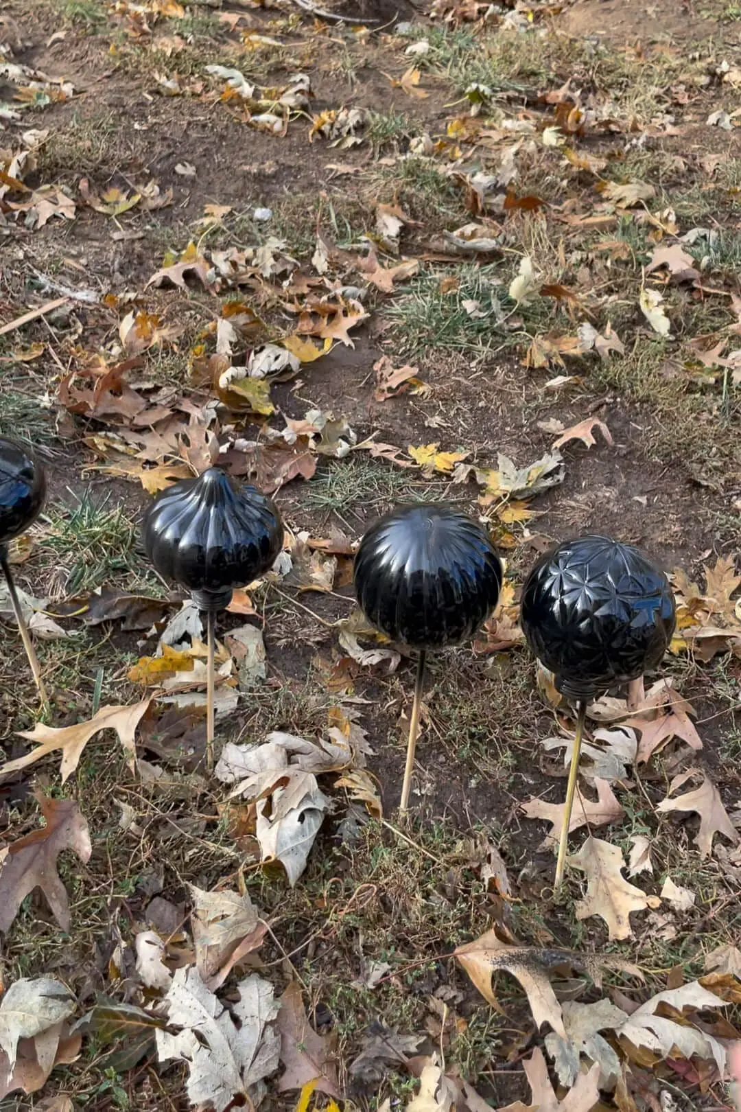 Four black-painted glass ornaments on wooden skewers standing upright in a grassy yard surrounded by autumn leaves.
