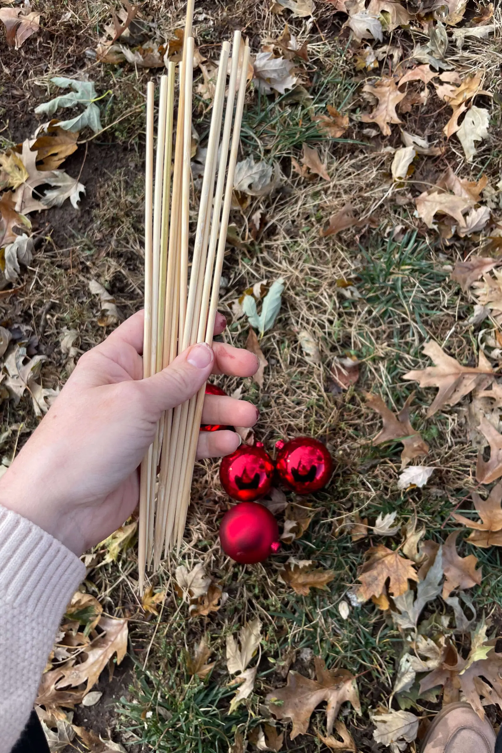 A hand holding a bundle of wooden skewers with red Christmas ornaments on the ground, amidst dried autumn leaves, getting ready to do a Christmas ornament craft.