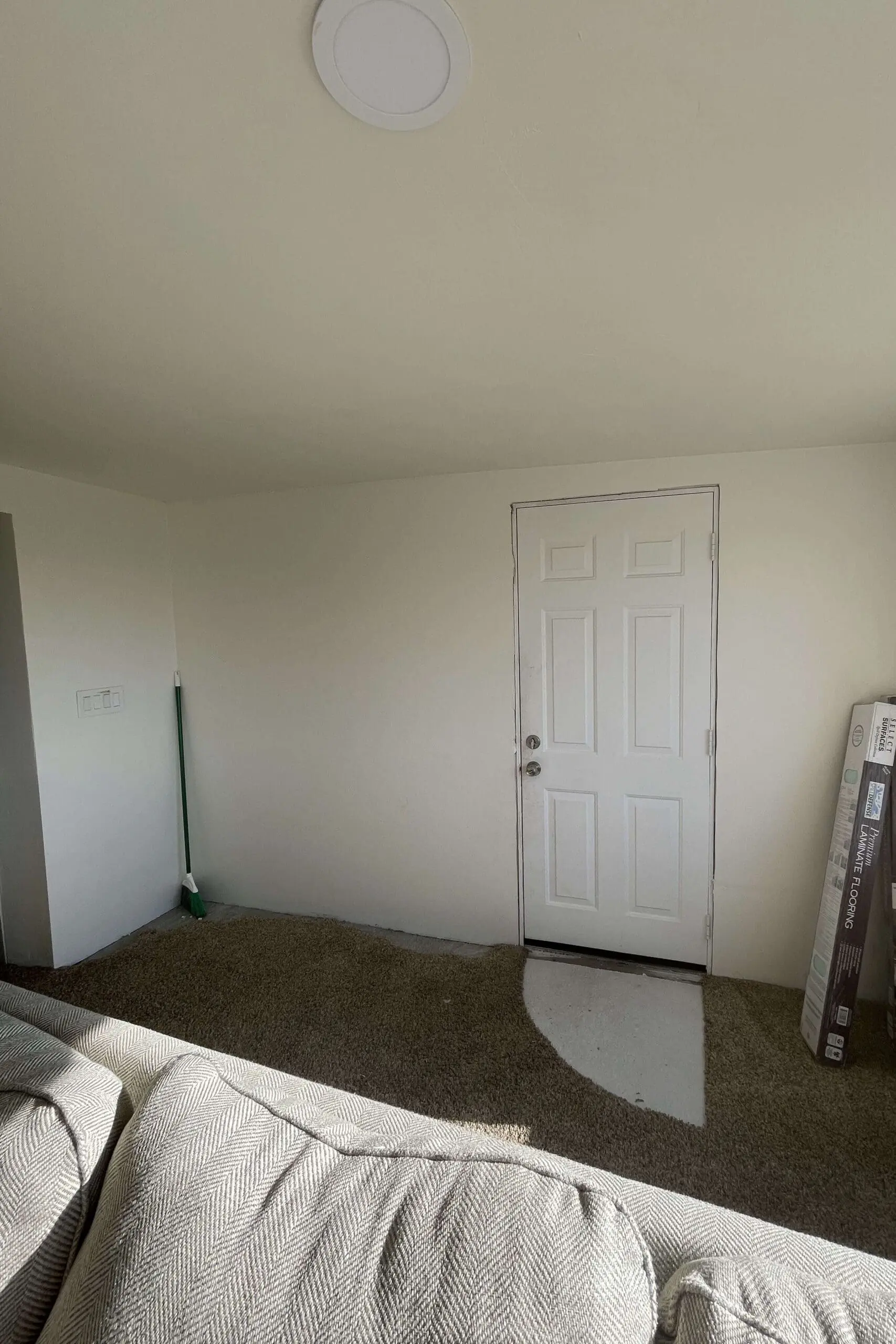 Empty space with a white door, beige carpet, and unfinished flooring, ready for a DIY makeover.