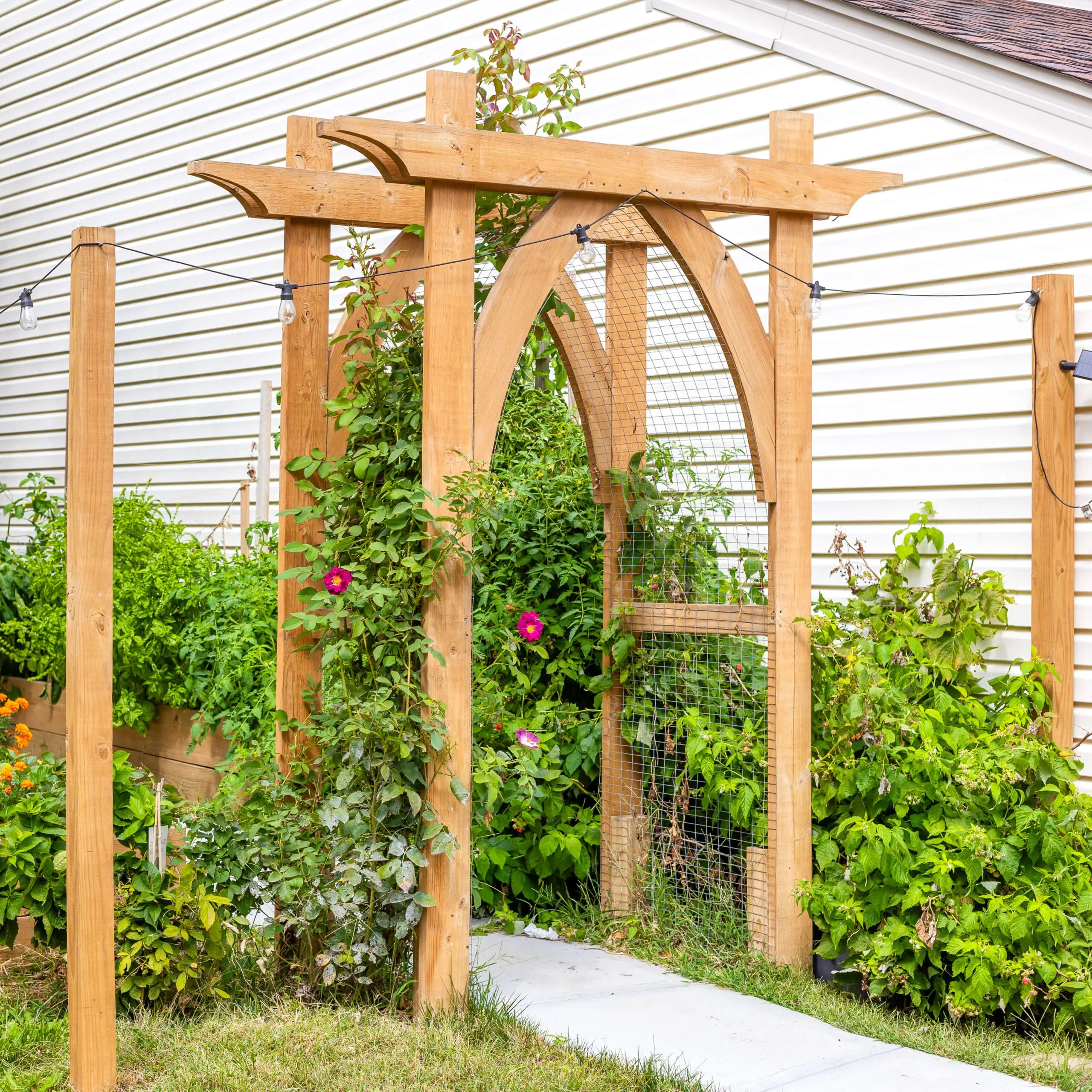 A side view of a wooden garden arbor with gothic-style arches and a trellis panel, supporting climbing roses with vibrant pink flowers. The arbor stands over a concrete pathway leading into a flourishing garden space with string lights adding a charming touch.