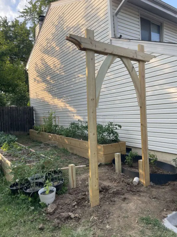 A partially constructed wooden garden arbor stands with two vertical posts and a curved wooden arch. Raised garden beds filled with green plants line the background, set against a white house.