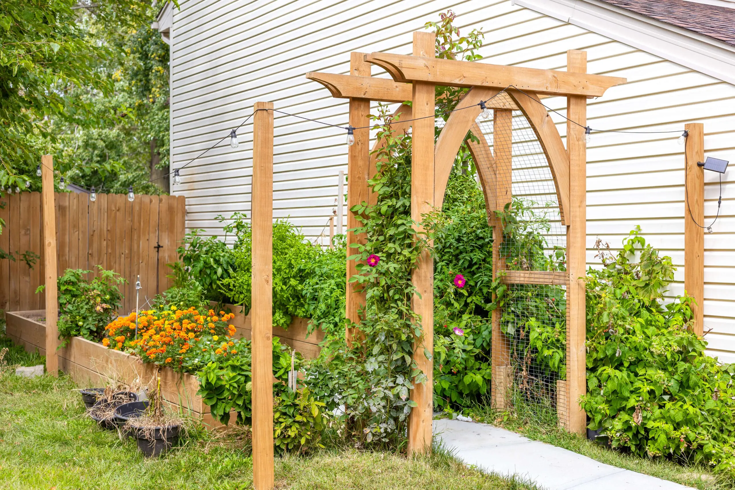 Fully grown summer garden with lush greenery and vibrant orange marigolds overflowing from raised beds. A wooden garden arch supports flowering vines and is framed by string lights, creating a charming entryway. The garden addition was part of an exterior house remodel.