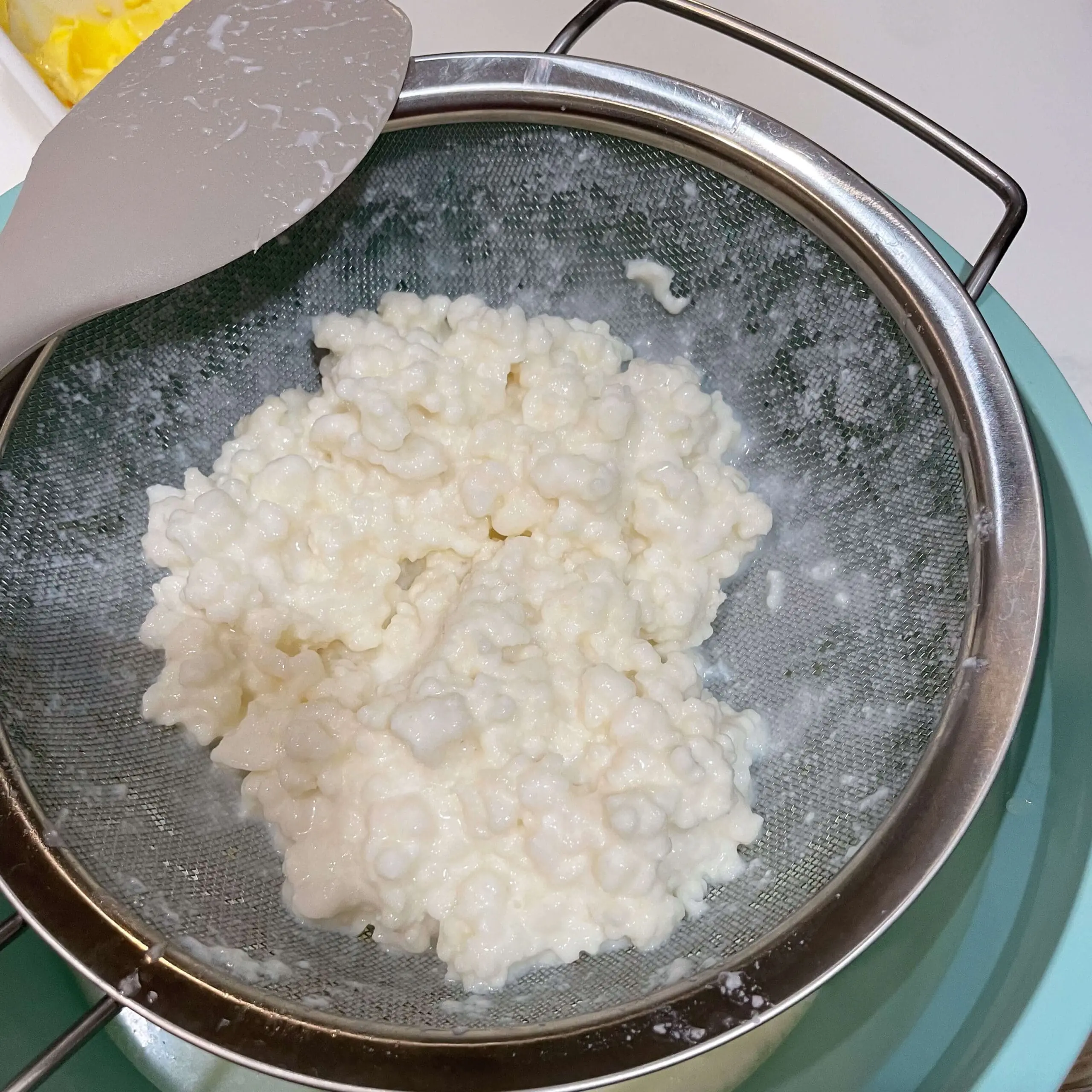 Straining fresh milk kefir grains through a mesh sieve as part of the process of how to make milk kefir at home.
