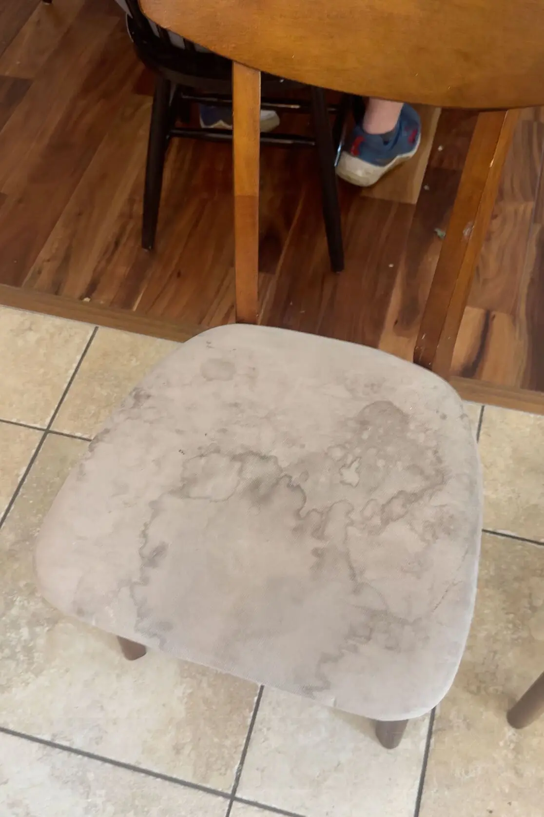 Close-up of a heavily stained fabric dining chair seat before cleaning, showing water spots, grime, and discoloration.