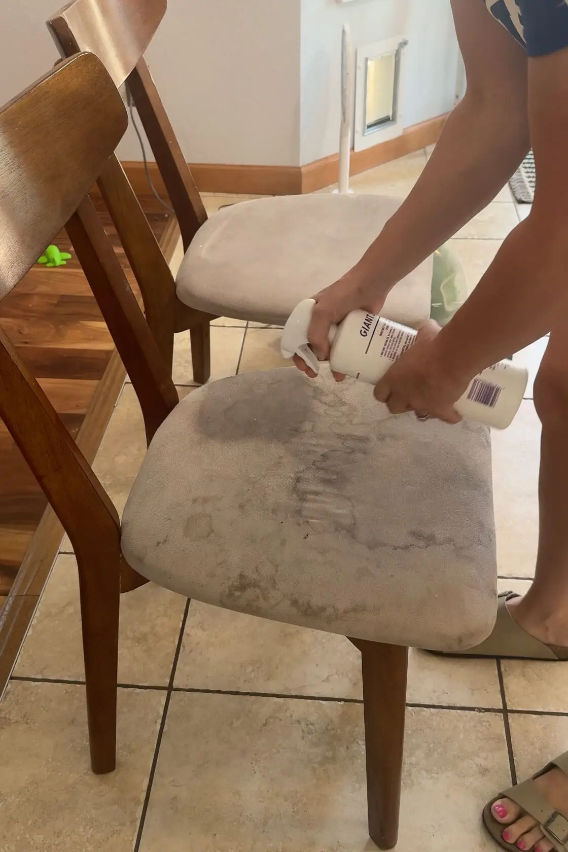 Spraying Folex cleaner on a stained upholstered dining chair as part of the fabric dining chair cleaning process.