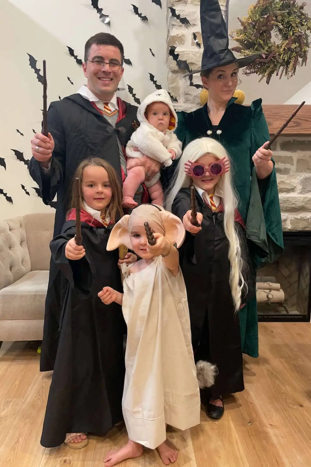 Family costume ideas with a Harry Potter theme, featuring characters like Harry Potter, Professor McGonagall, Luna Lovegood, Dobby, and Hedwig.