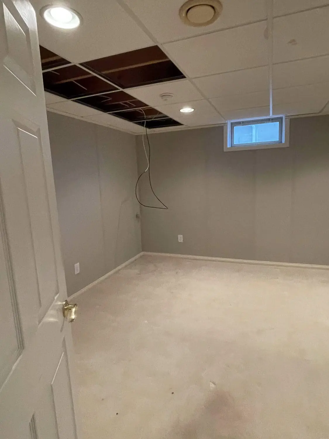 basement room before remodel with damaged drop ceiling, small window, and bare carpet