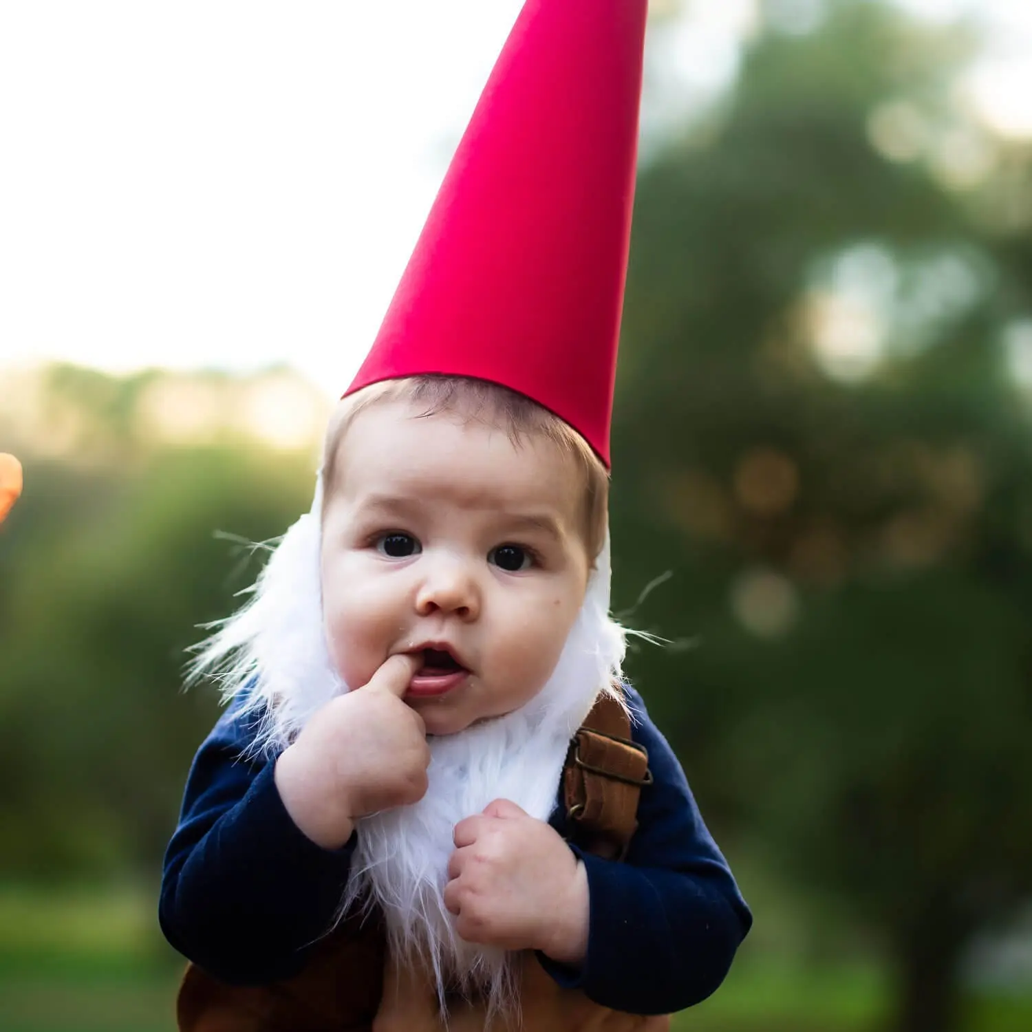 Baby dressed in a no-sew gnome costume with a red cone hat and fluffy white beard, sitting outdoors for a garden-themed Halloween photo.