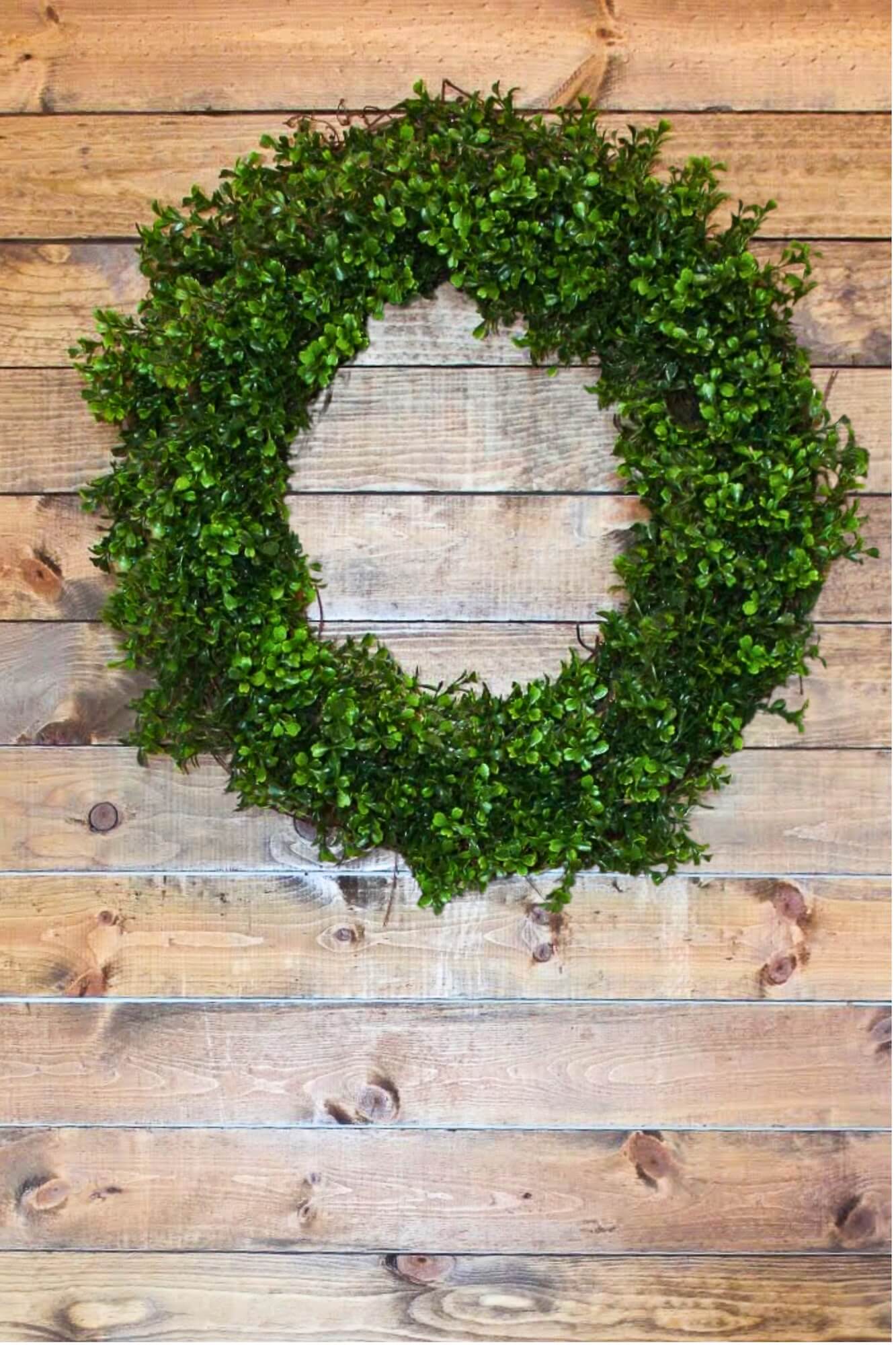  A completed DIY boxwood wreath with a clean, unembellished look hanging on a natural wood plank wall. The wreath is full and round.
