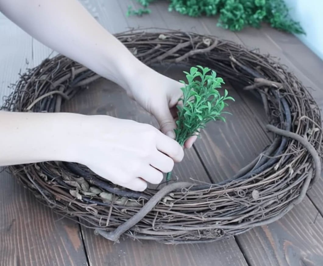 Hands holding a bundle of faux boxwood sprigs and tucking them into a grapevine wreath form for dry fitting, demonstrating the initial placement for a DIY boxwood wreath.