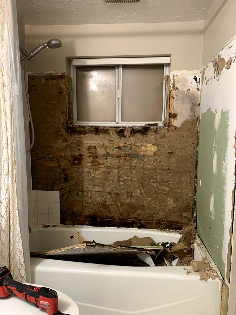 Shower walls torn out