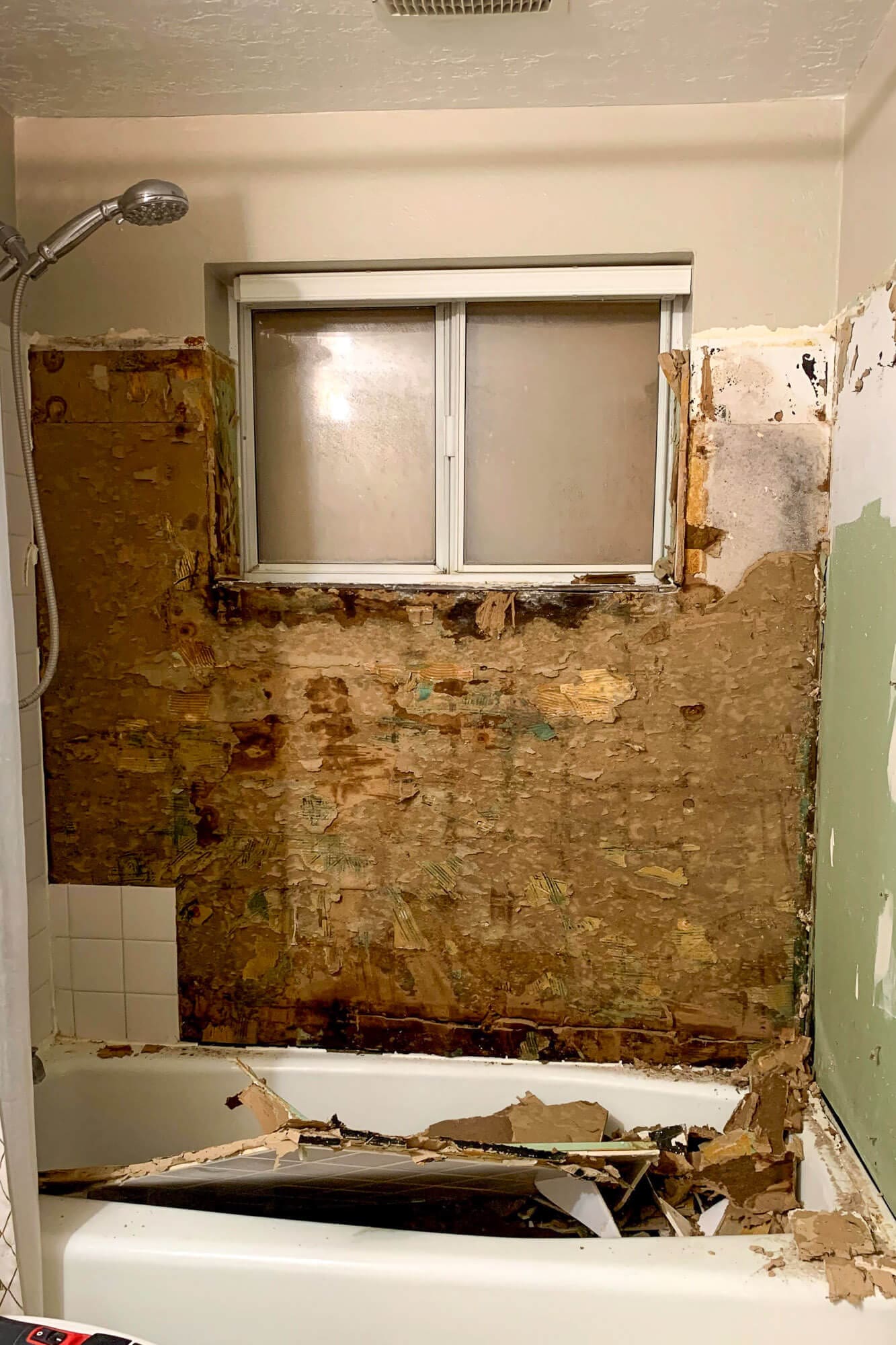 Shower open to studs, mold visible

Exposed shower wall opened to studs showing damaged drywall and signs of moisture and mold before cleanup.