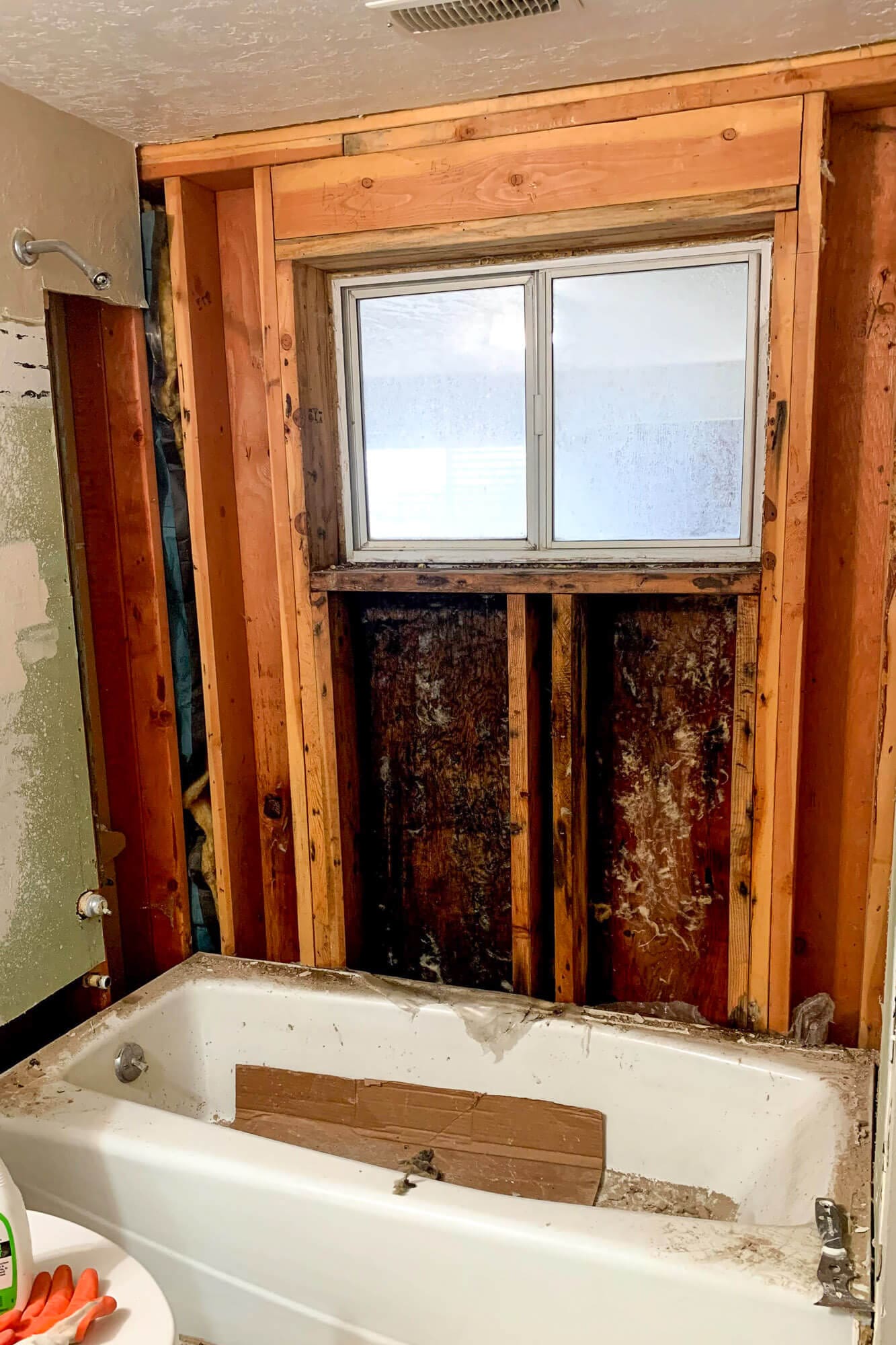 Wall opened to studs around the shower window area